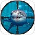鲨鱼猎人3D