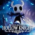 Hollow Knight io