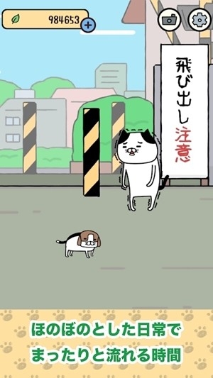 熊猫狗和猫