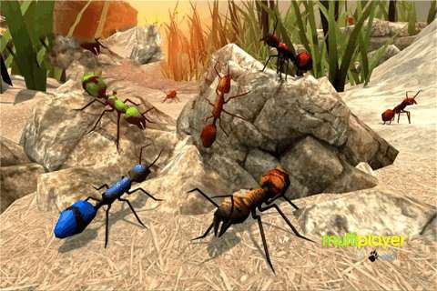 蚂蚁模拟器2