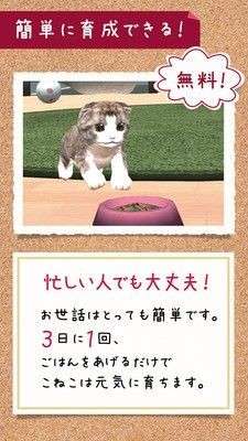 糖果铃铃猫