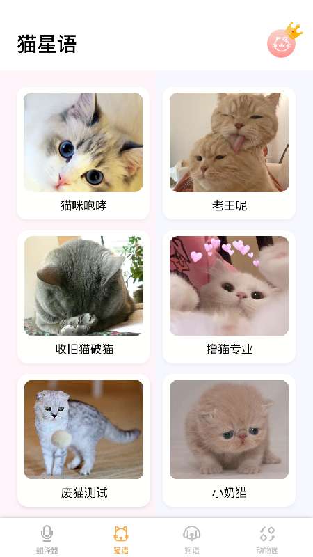 猫语翻译大师