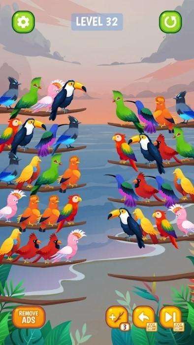 鸟类分类颜色拼图