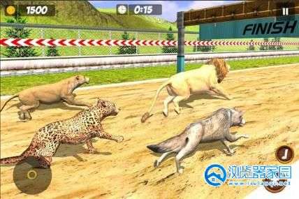 动物竞速游戏合集