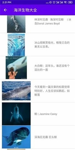 海洋生物大全