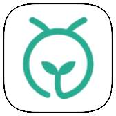 蚂蚁森林能量自动收取