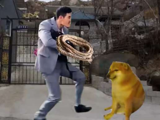 嘎子偷狗表情包大全