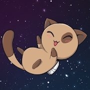 太空中的猫