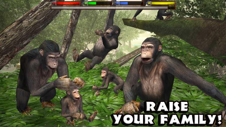 丛林动物模拟器游戏
