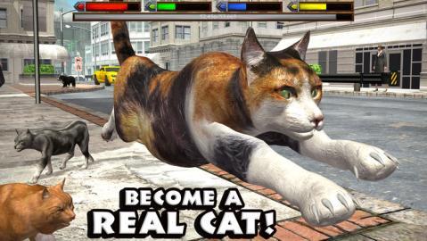 UltimateCatSimulator