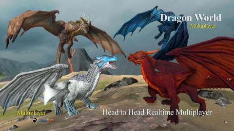 DragonMultiplayer3D
