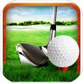 ProfessionalGolfPlay