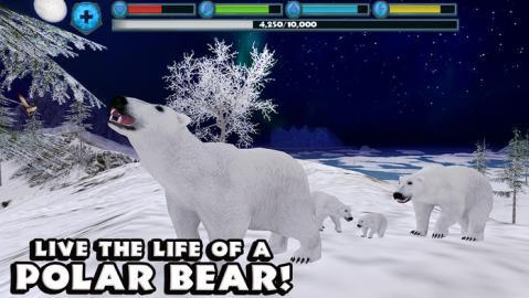 PolarBearSimulator