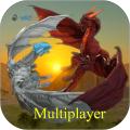 DragonMultiplayer3D