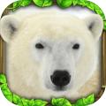 PolarBearSimulator