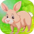 KaviEscapeGame607BurlyRabbitEscapeGame