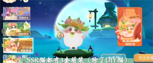 猫咪公寓2怎么祈福 猫咪公寓2祈福奖池选择攻略