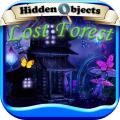 HiddenObjectsLostForestPuzzleAdventure