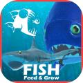 FEEDANDBATTLEGROWFISHSIMULATOR