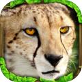 CheetahSimulator