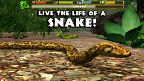 SnakeSimulator