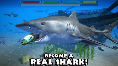 UltimateSharkSimulator