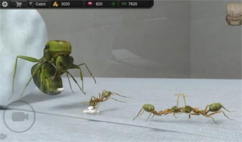 蚂蚁模拟大亨中文版